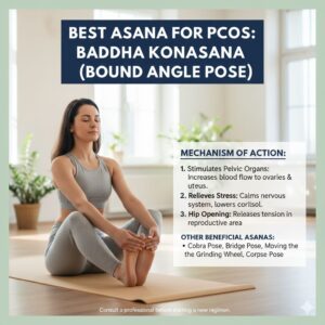 WhatsApp Image 2025-12-03 at 5.47.58 PM