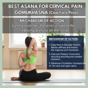 WhatsApp Image 2025-12-03 at 5.50.46 PM