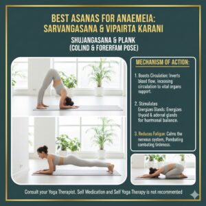 WhatsApp Image 2025-12-03 at 6.12.33 PM